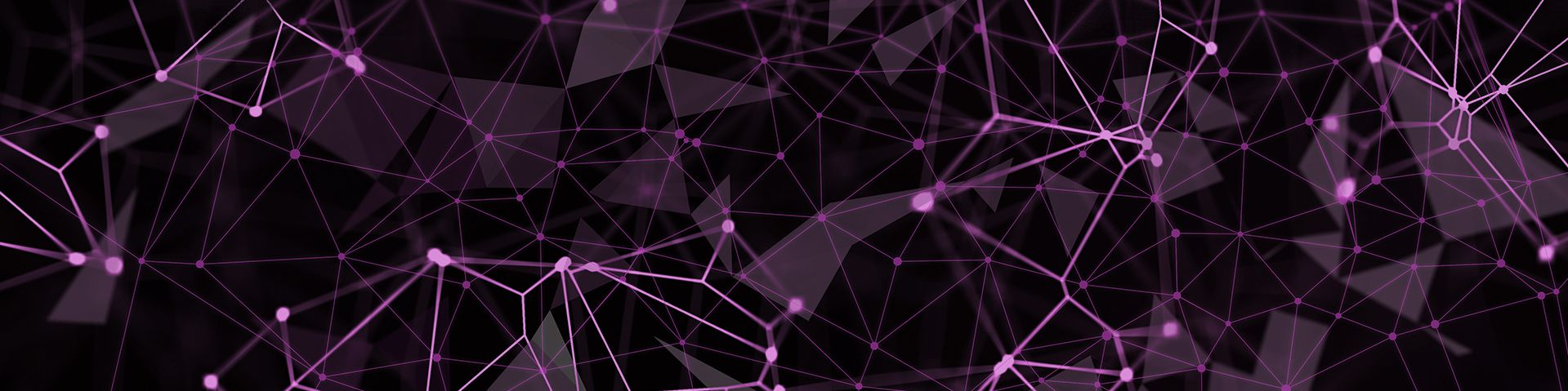 company-banner-image