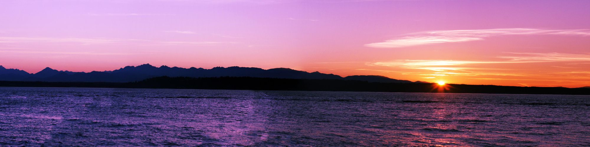company-banner-image