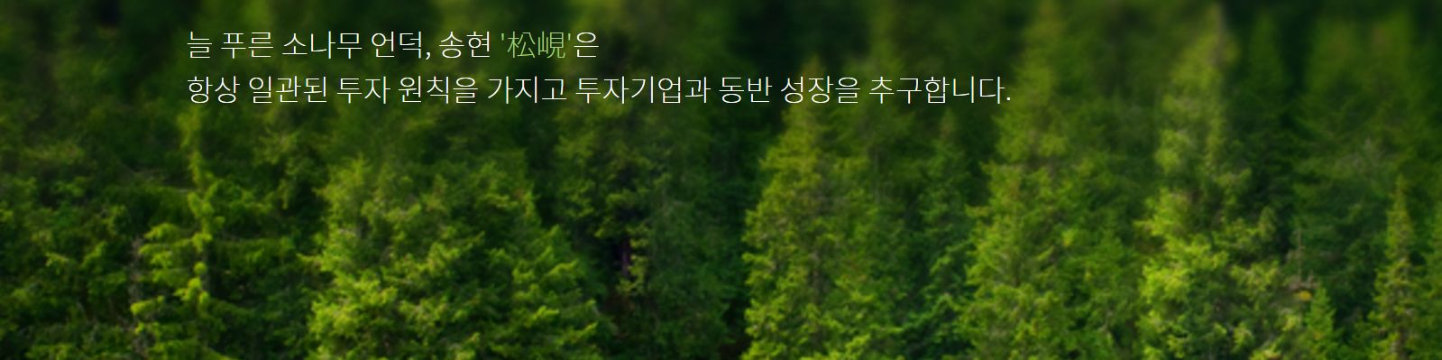 company-banner-image