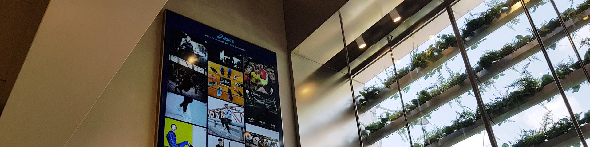 company-banner-image