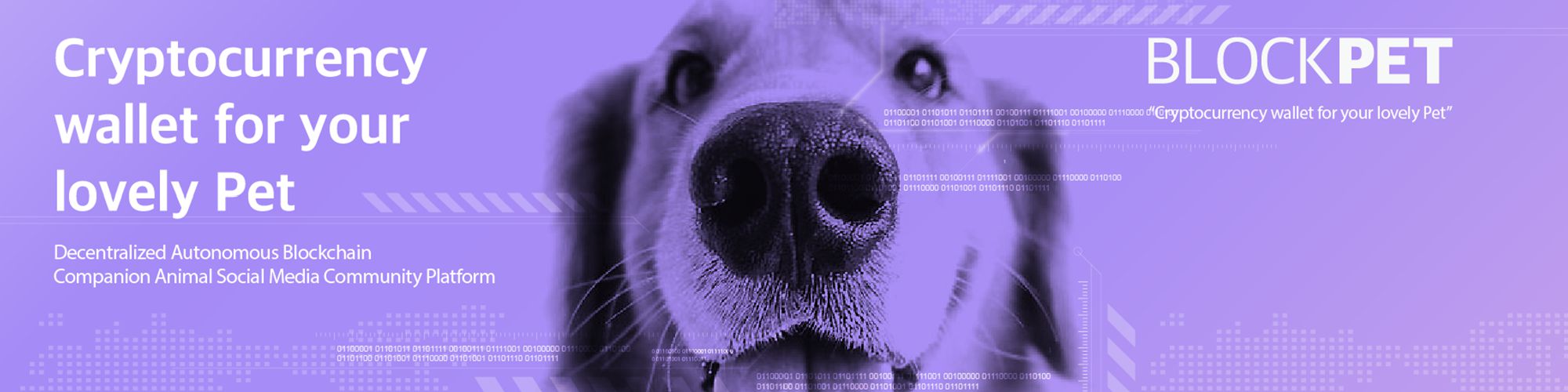 company-banner-image