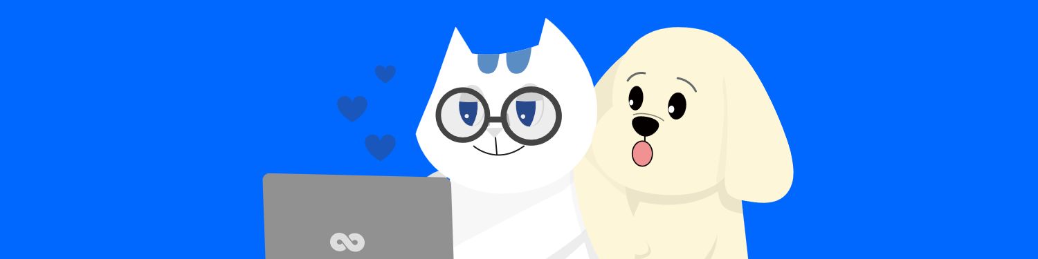 company-banner-image