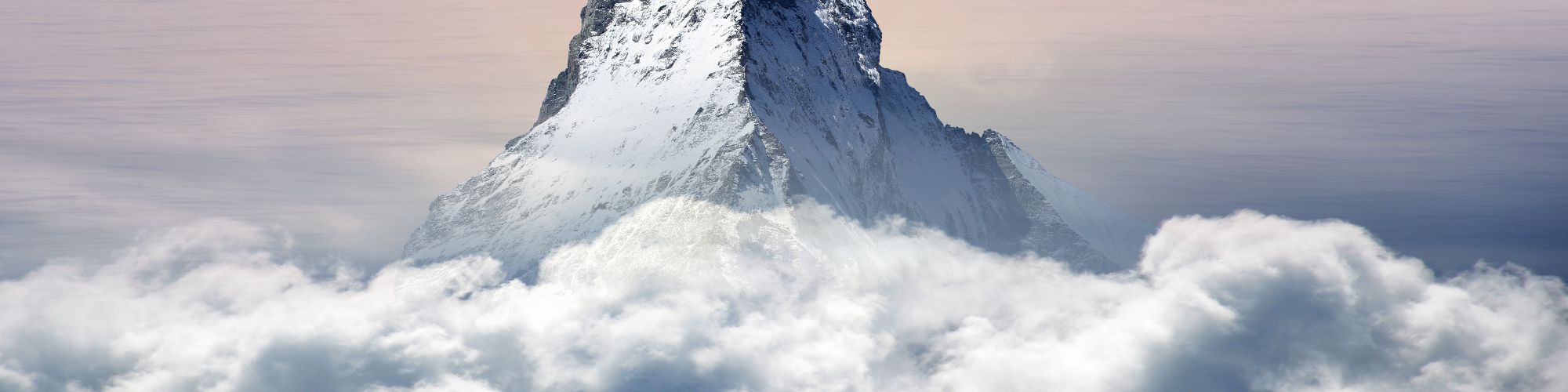 company-banner-image