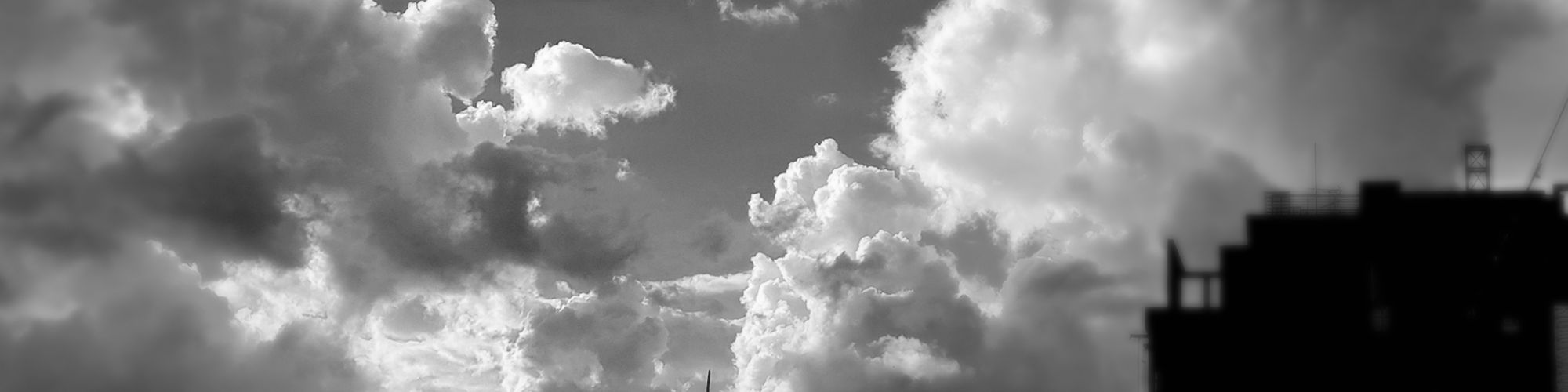company-banner-image