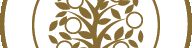 company-banner-image