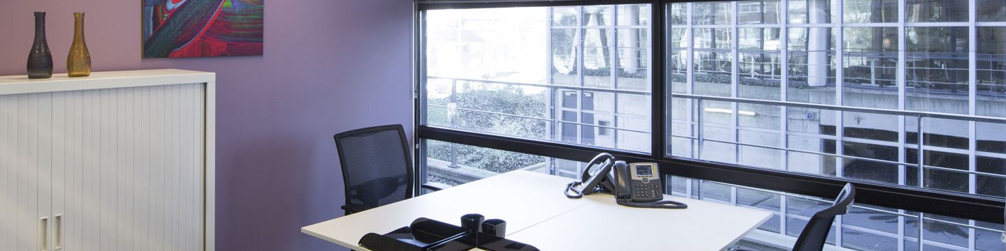 company-banner-image