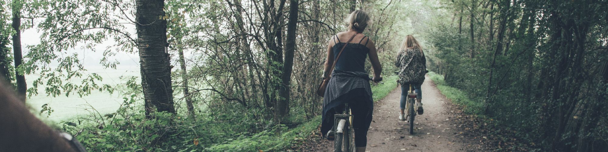 company-banner-image