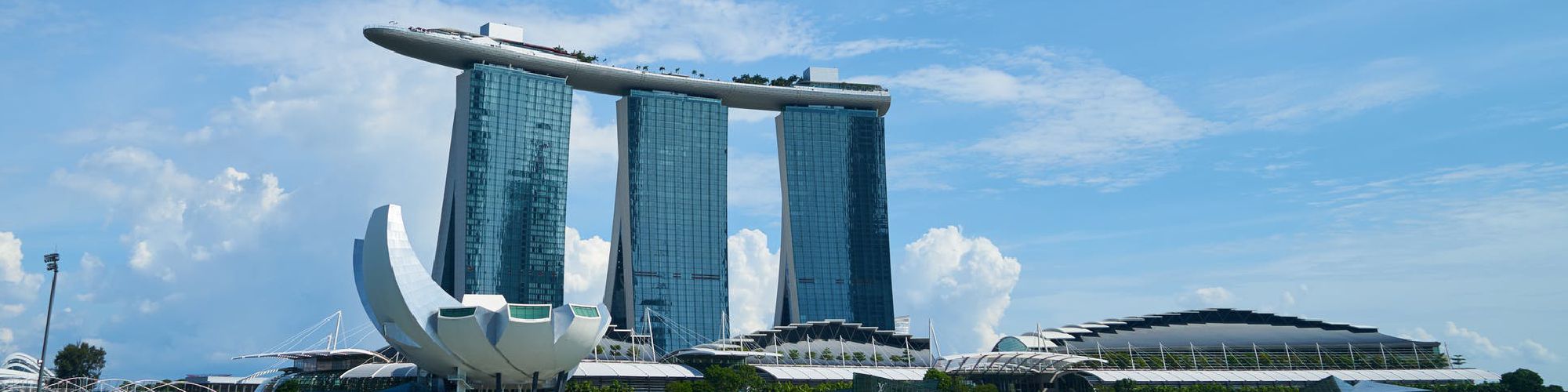 company-banner-image