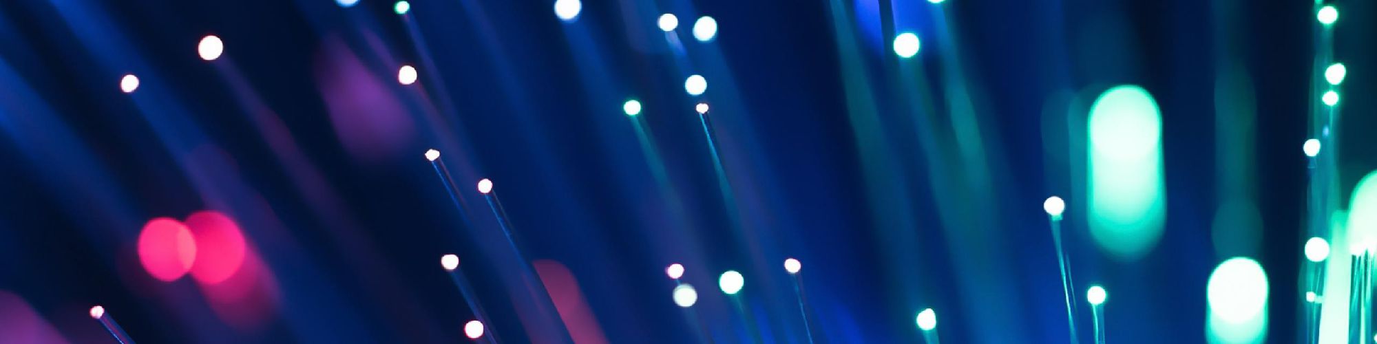 company-banner-image