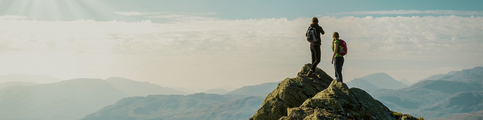 company-banner-image