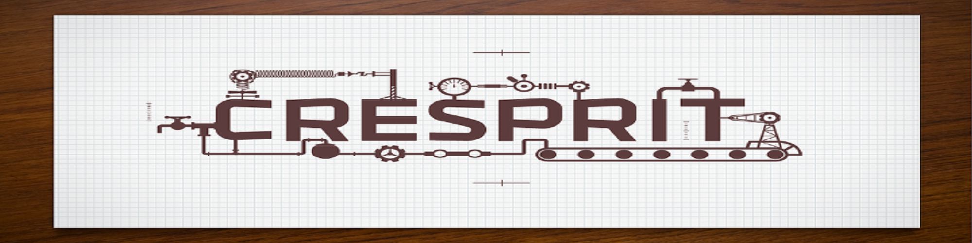 company-banner-image
