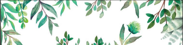 company-banner-image