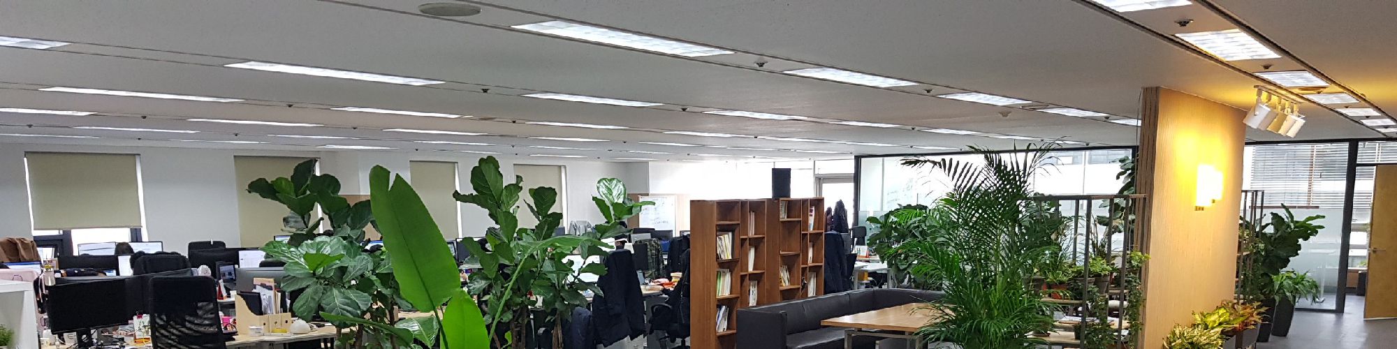 company-banner-image