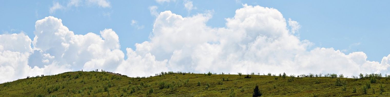 company-banner-image