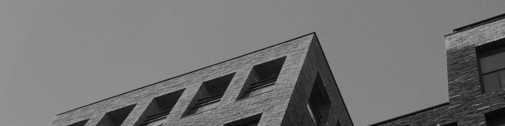 company-banner-image