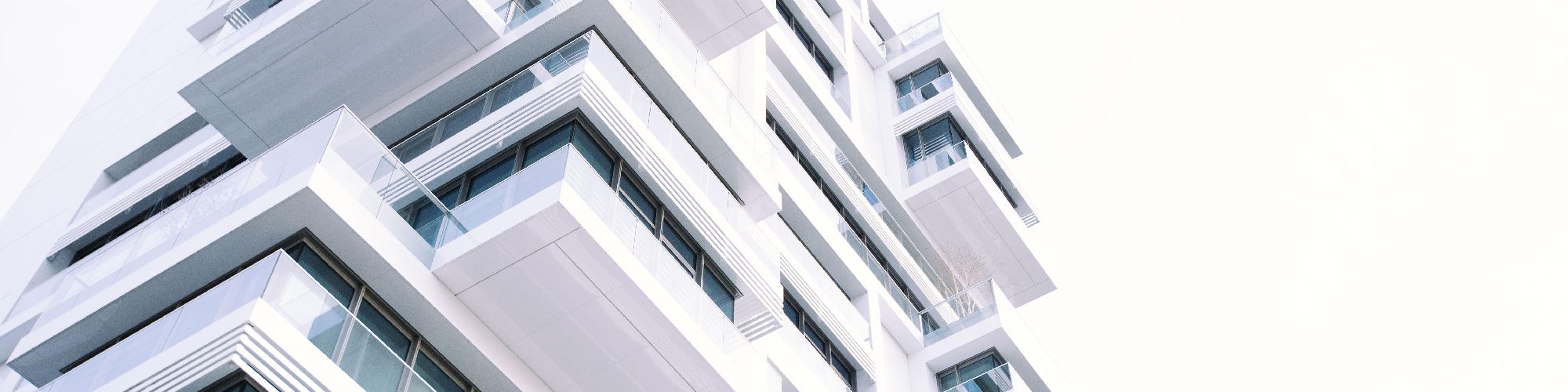 company-banner-image