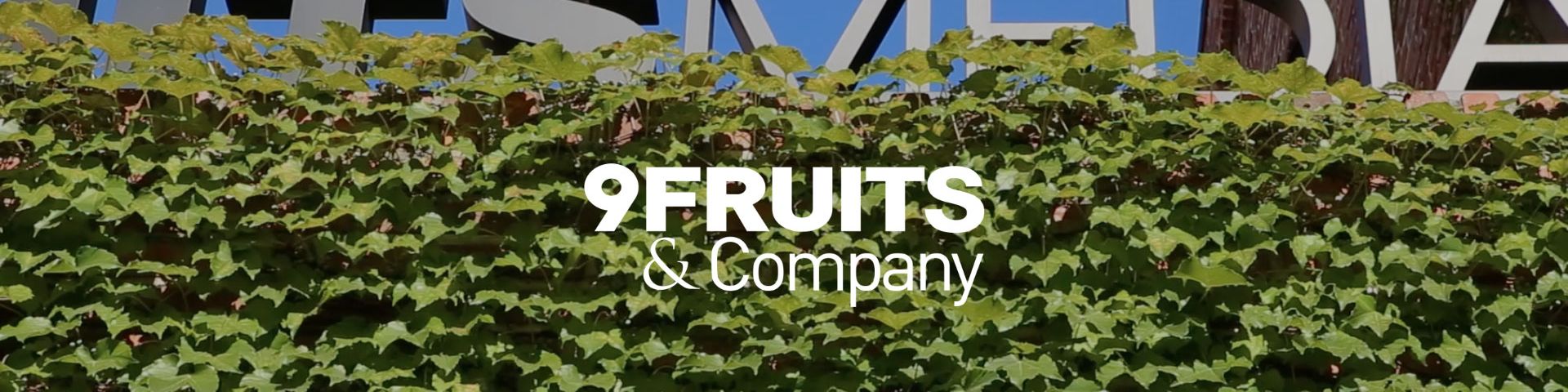 company-banner-image
