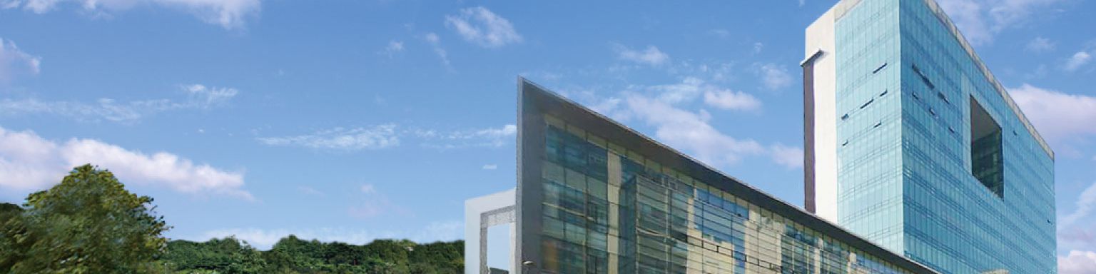 company-banner-image
