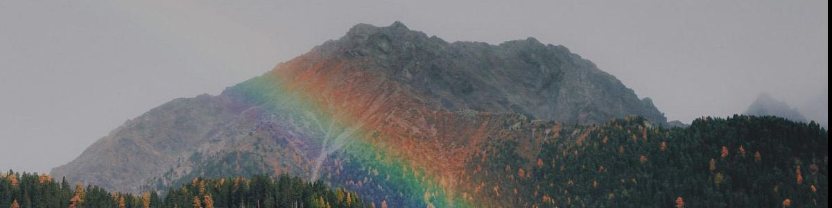 company-banner-image