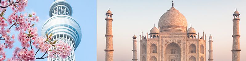 company-banner-image