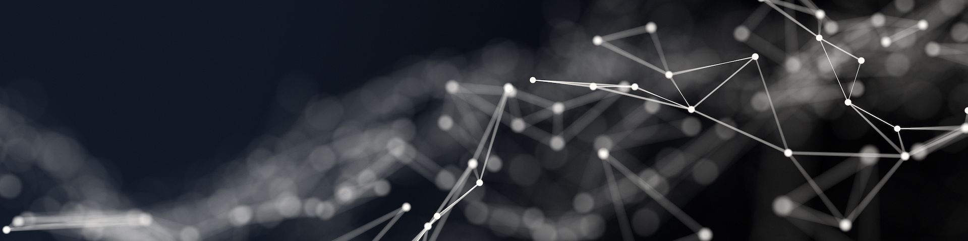 company-banner-image