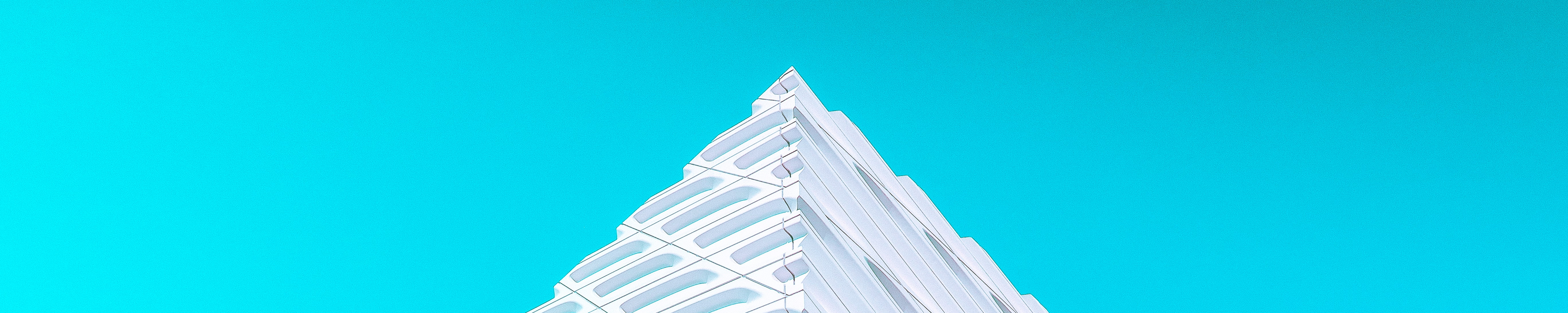 company-banner-image