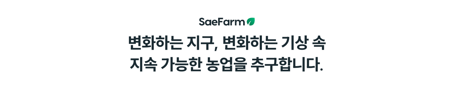 company-banner-image