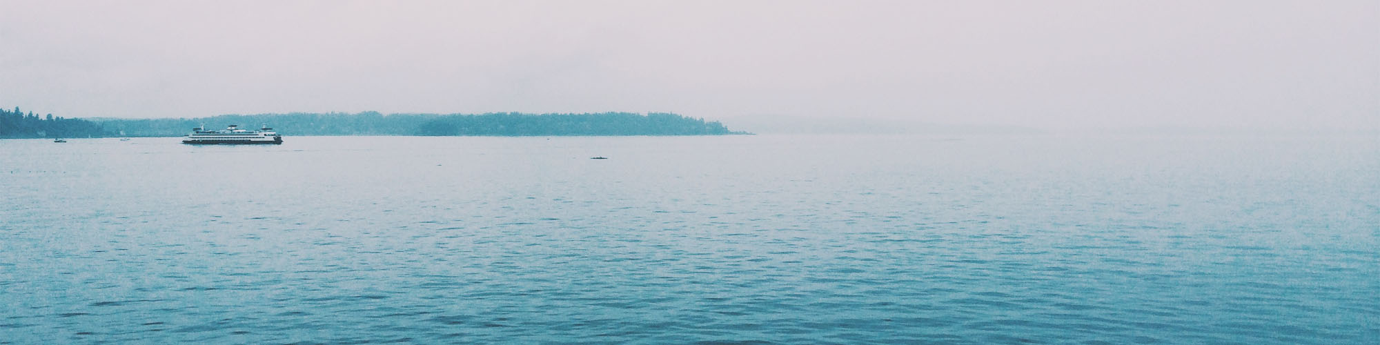 company-banner-image