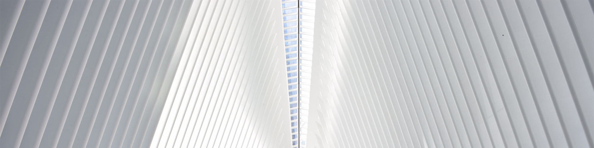 company-banner-image