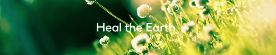 company-banner-image