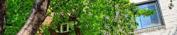 user-banner-image