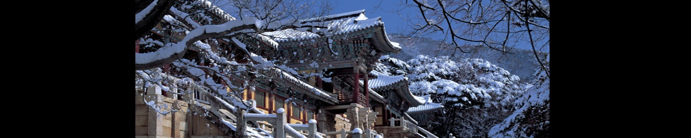 user-banner-image