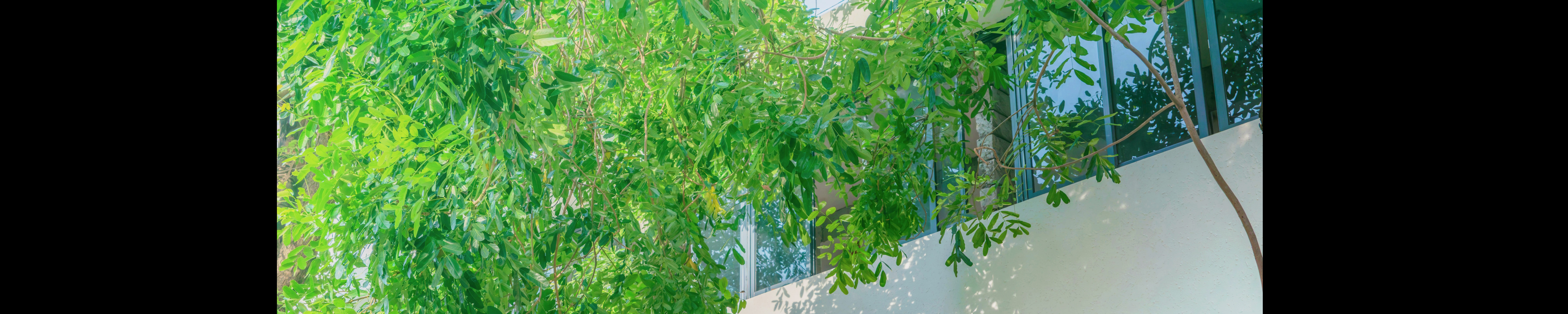 user-banner-image