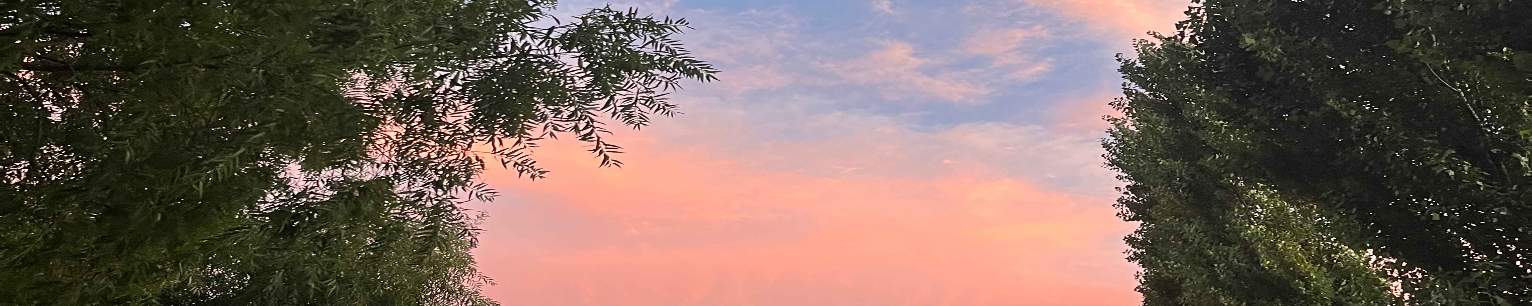 user-banner-image