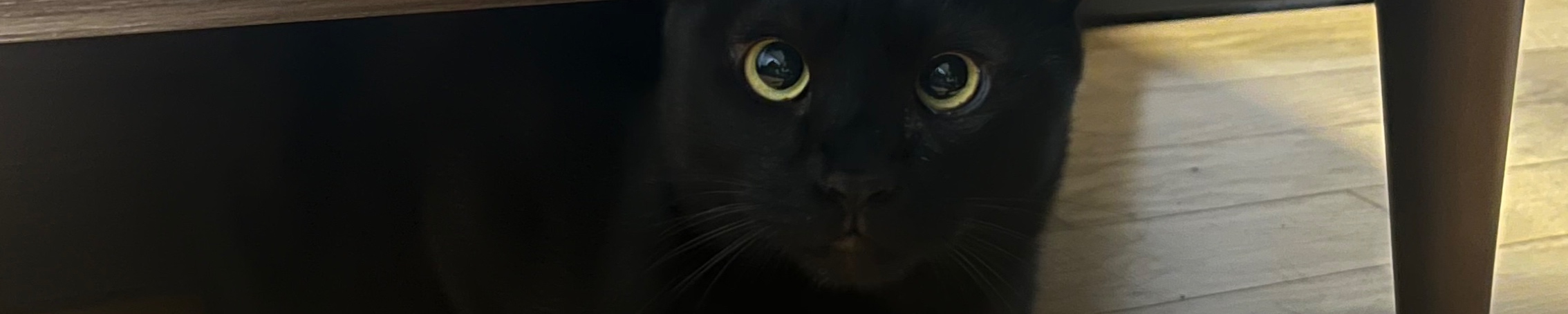 user-banner-image