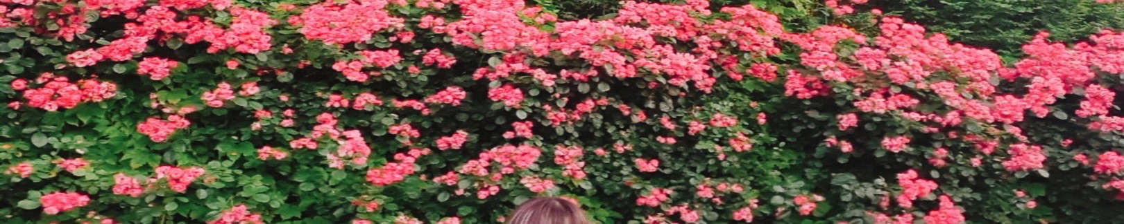 user-banner-image