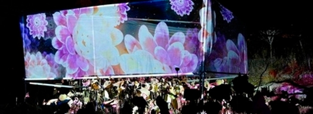 남이섬 '정령의 숲' 미디어아트展 개최