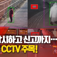 [사이언스 취재파일] 범죄 감시하고 신고까지…지능형 CCTV 주목! / YTN 사이언스