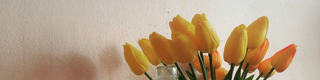 user-banner-image