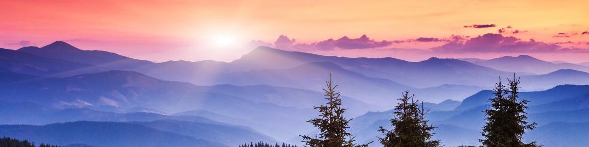 user-banner-image