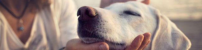 user-banner-image