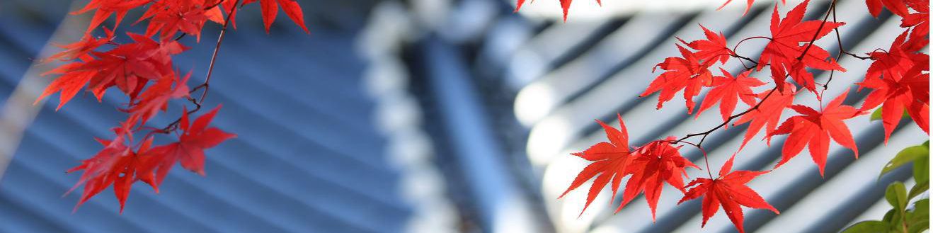 user-banner-image