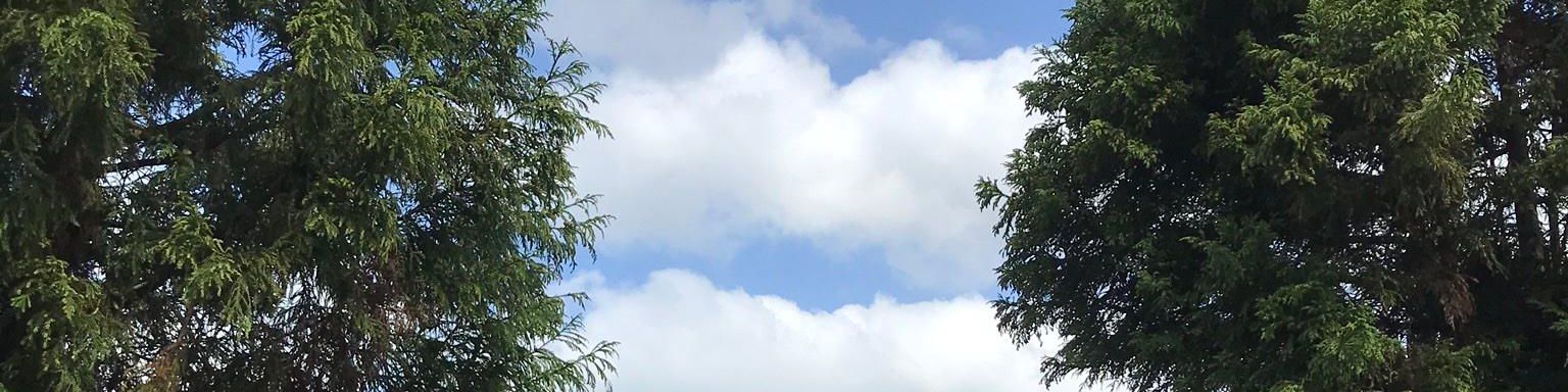 user-banner-image