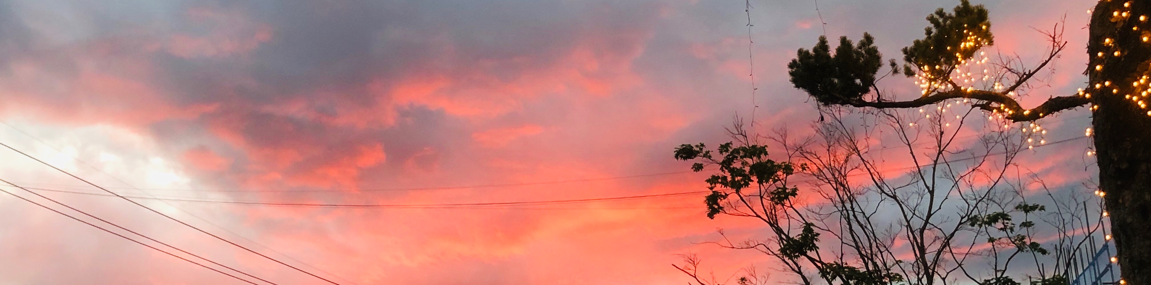 user-banner-image