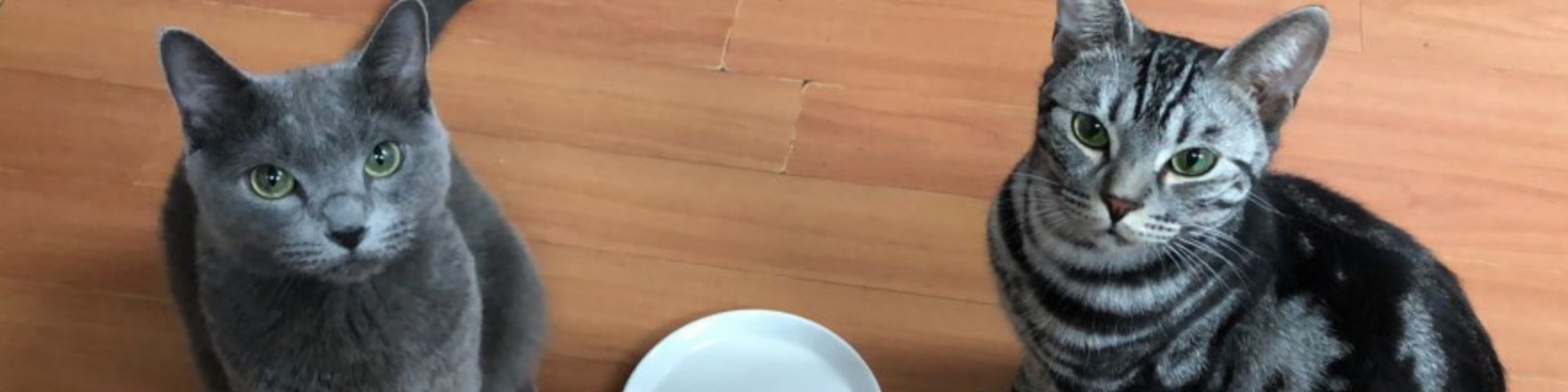 user-banner-image