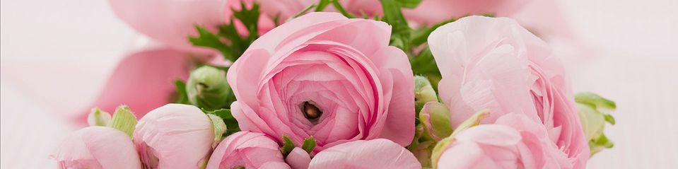 user-banner-image