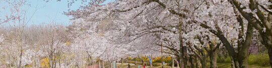 user-banner-image
