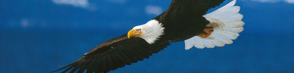 user-banner-image