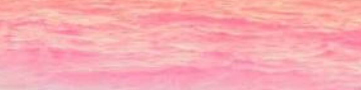 user-banner-image