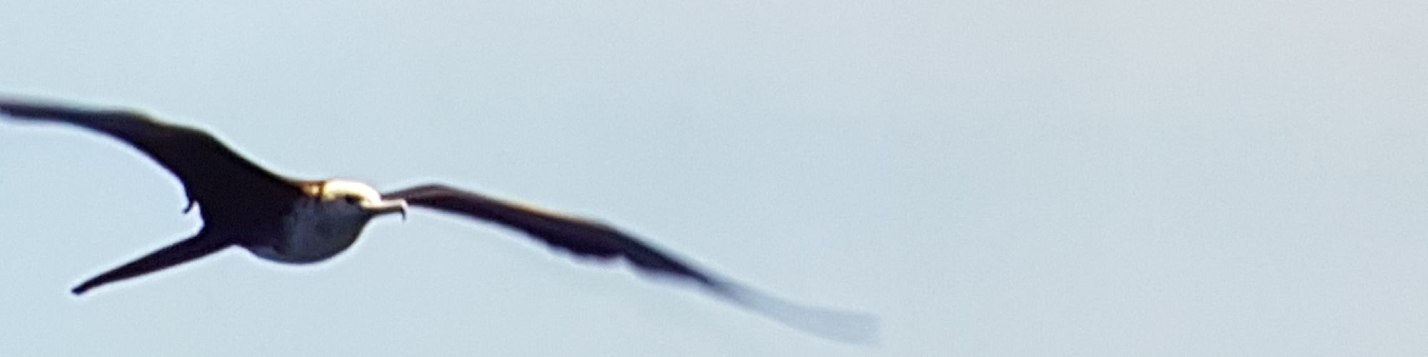 user-banner-image